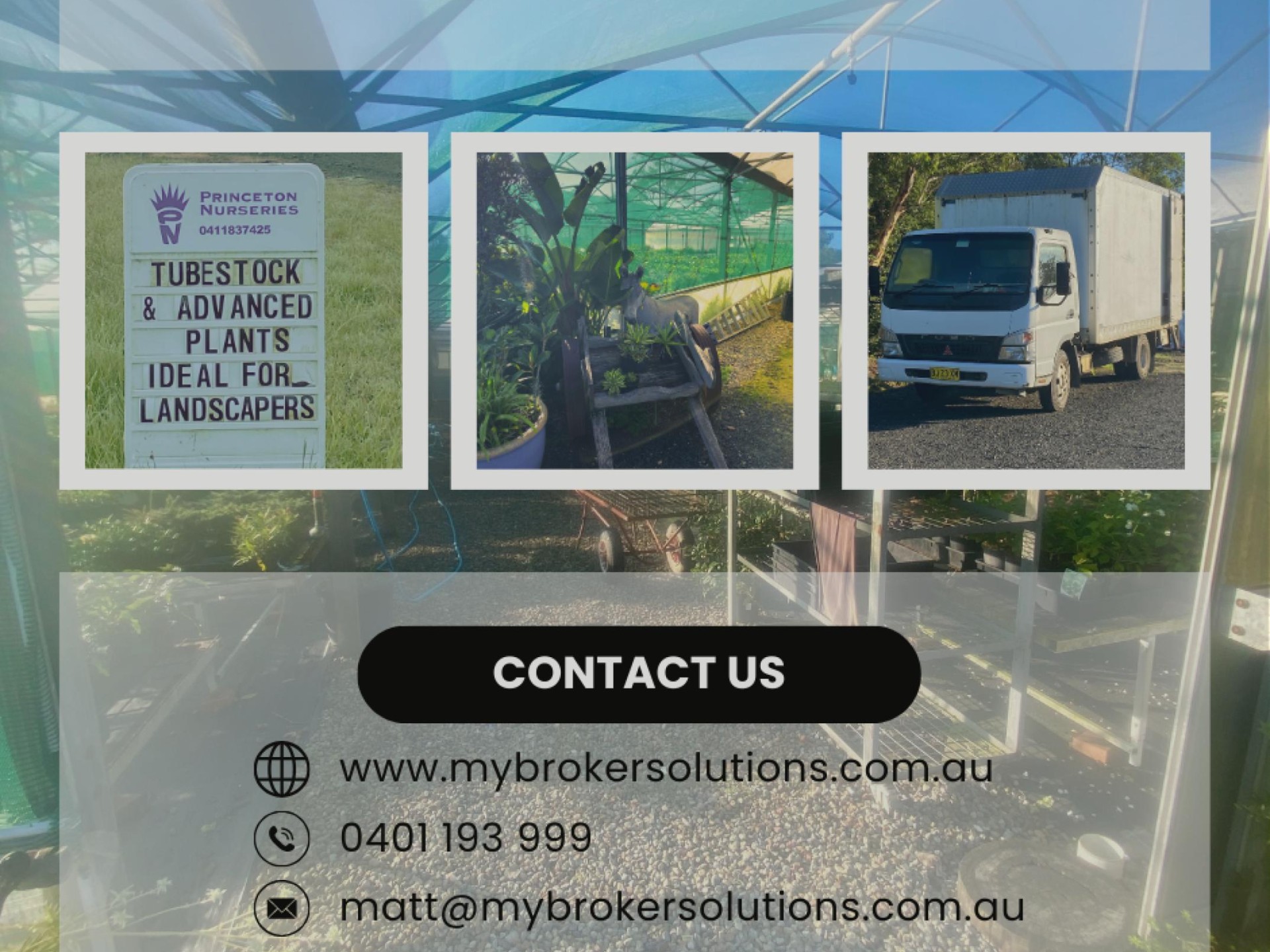 Plant The Seed For 659418 3