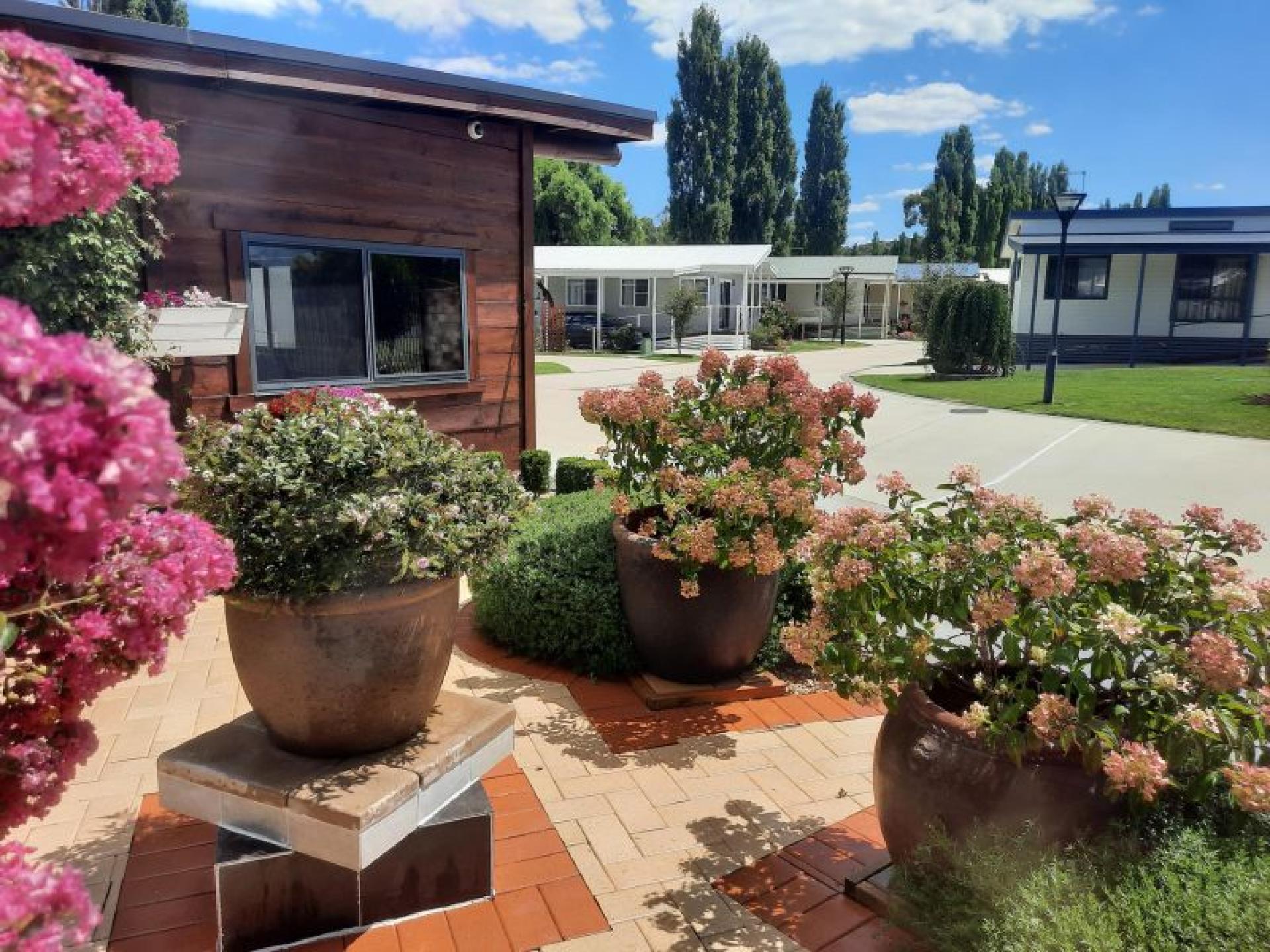 Rare Opportunity: Retirement Village 659760 2