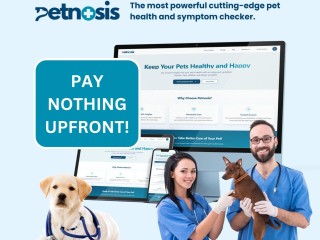 Pet Health & Symptom Web App Platform Opportunity
