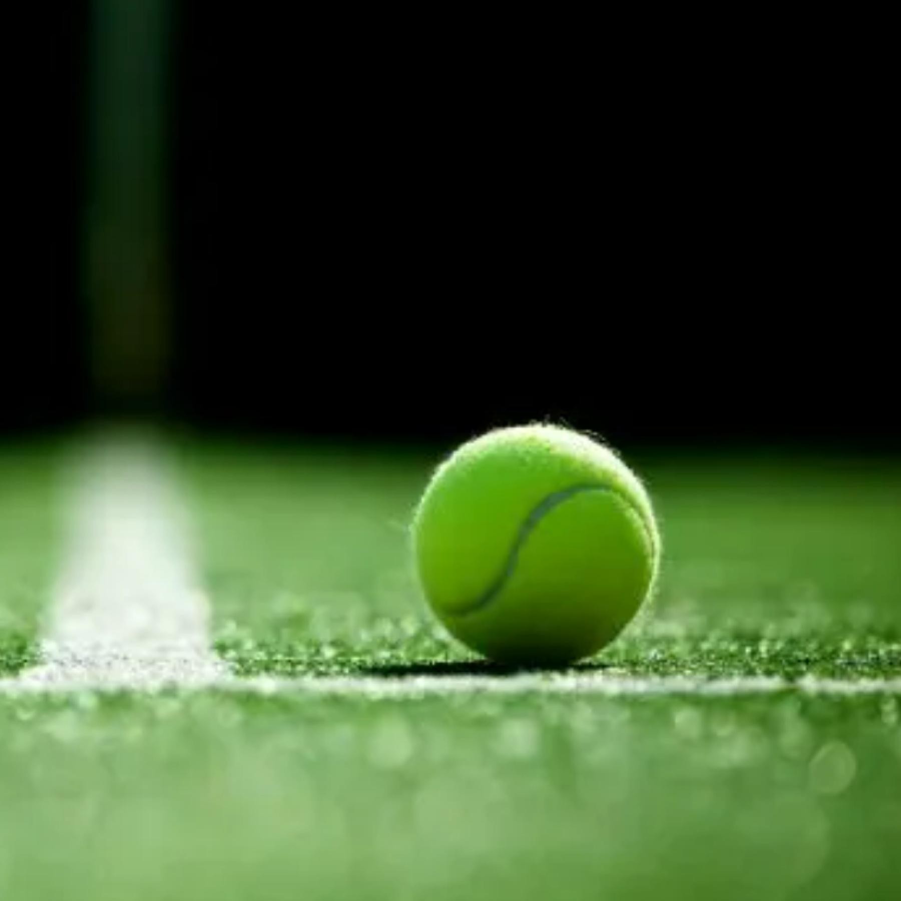 Wa's Premier Sports Installation 660043 3