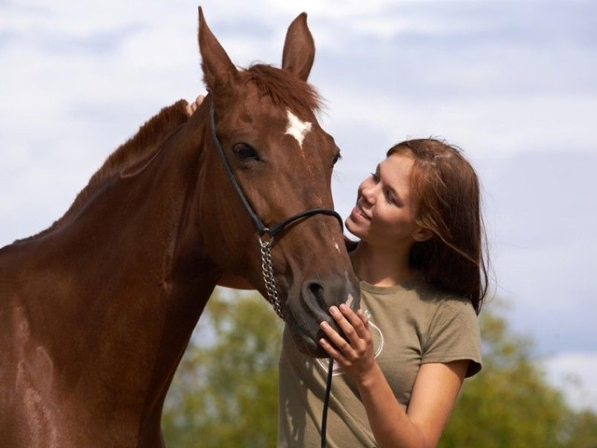 Million Dollar Sales Animal 660090 1