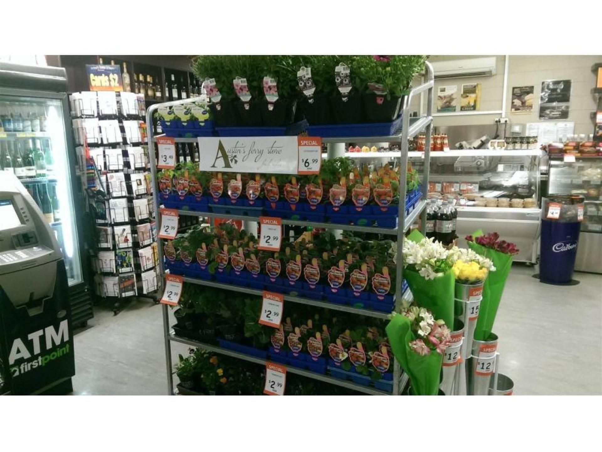 Thriving Iga Convenience Store 660477 3