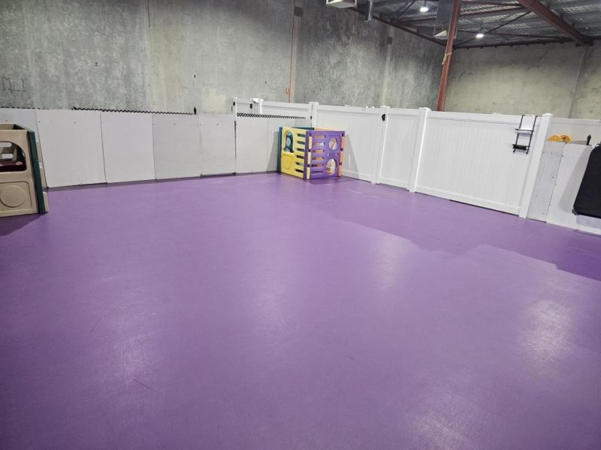 Sold - Doggie Daycare 660499 3