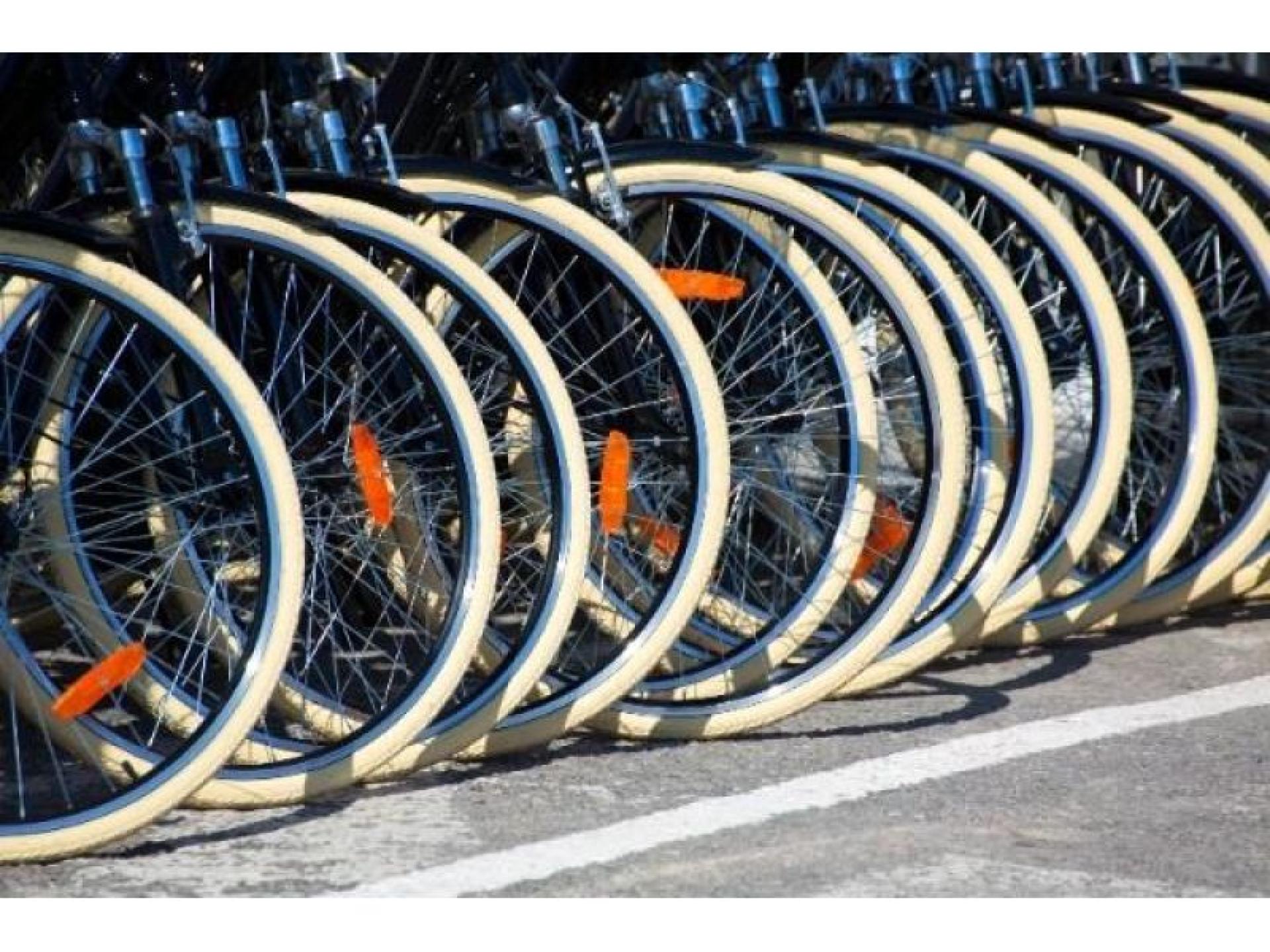 Bicycles And Cycling Accessories 660890 2