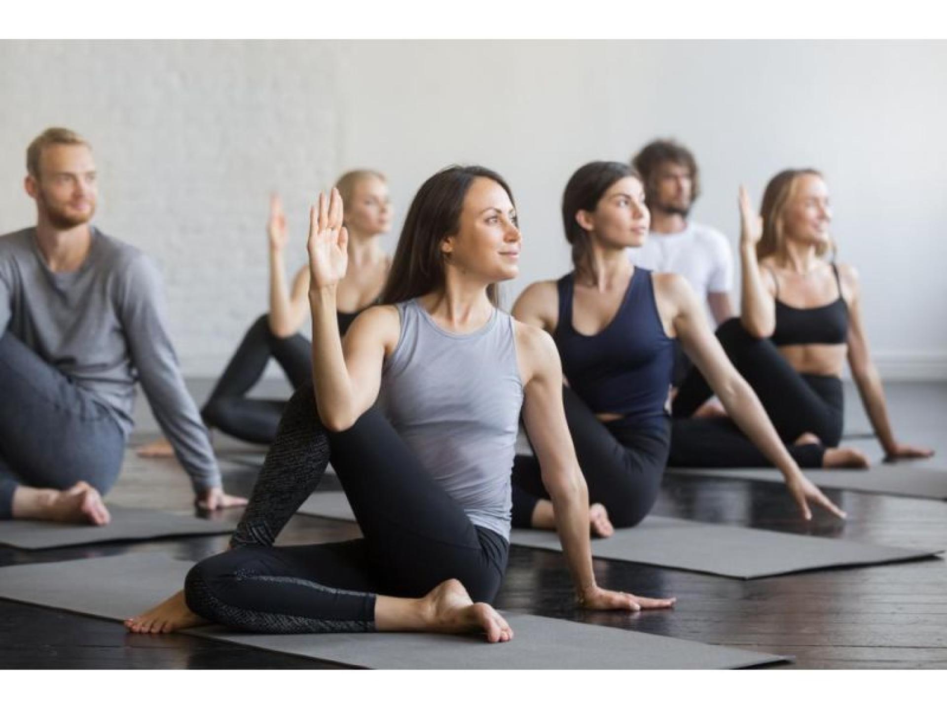 Yoga Studio & Wellness 661039 1