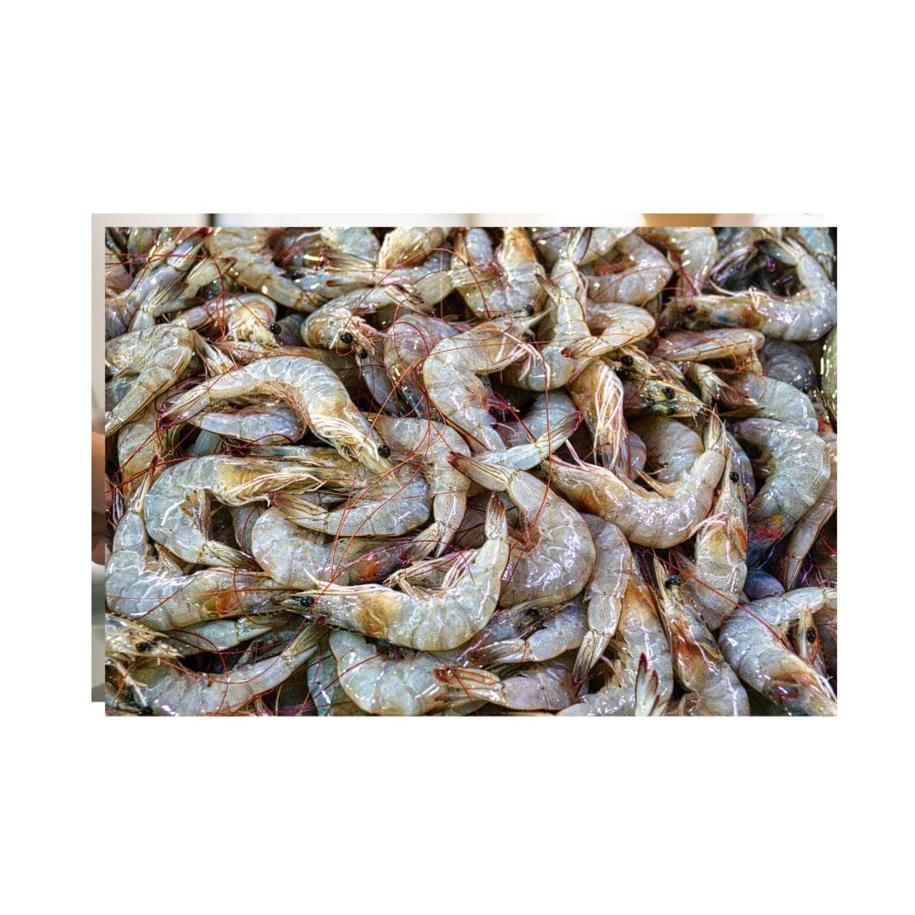 Aquaculture Farm - Under 661143 1