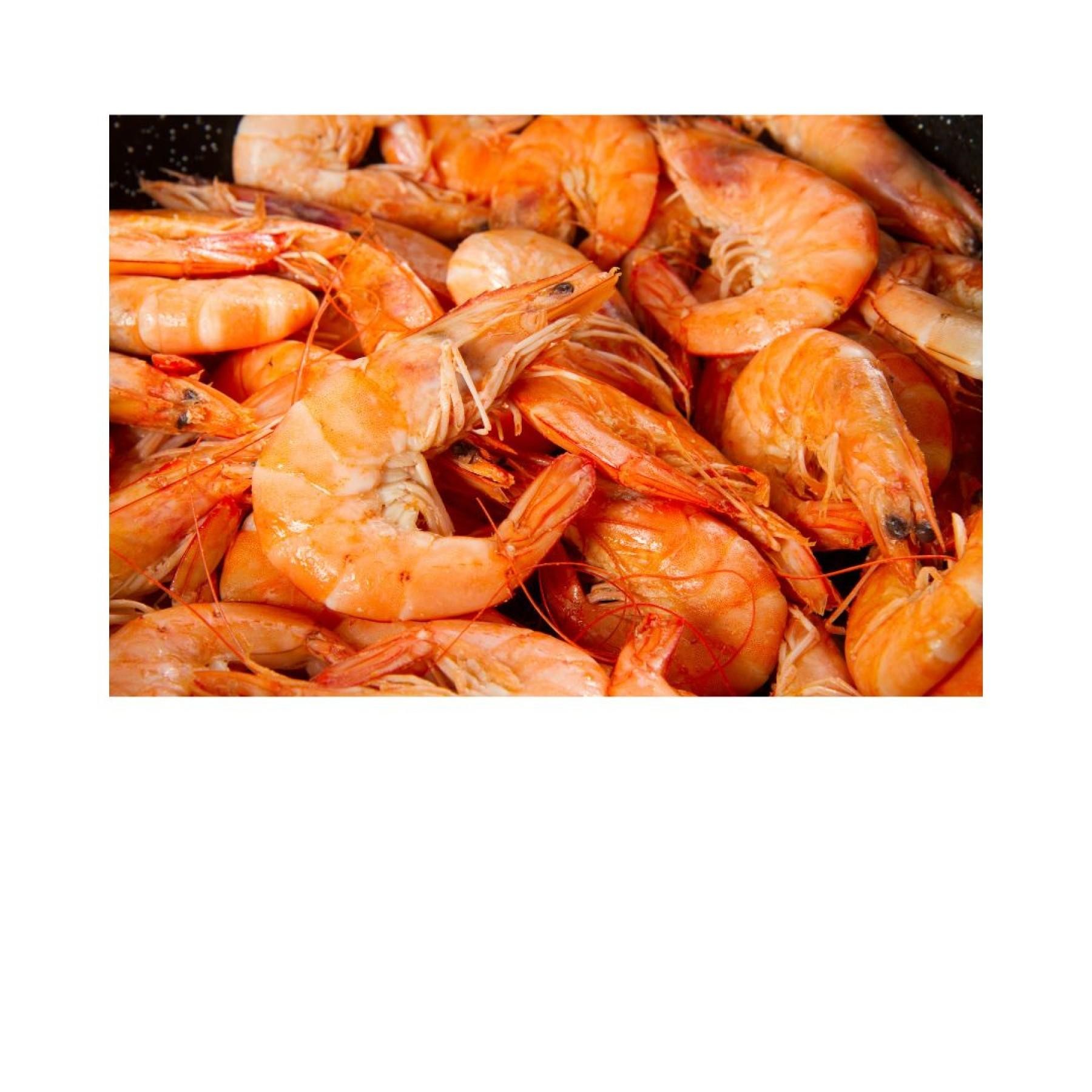 Aquaculture Farm - Under 661143 3