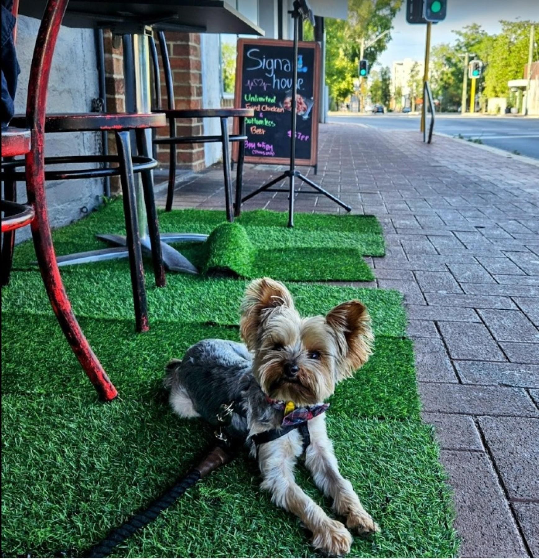 Modern Restaurant In Prime 661463 1