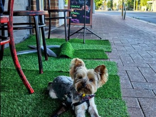 Modern Restaurant in Prime Perth Location