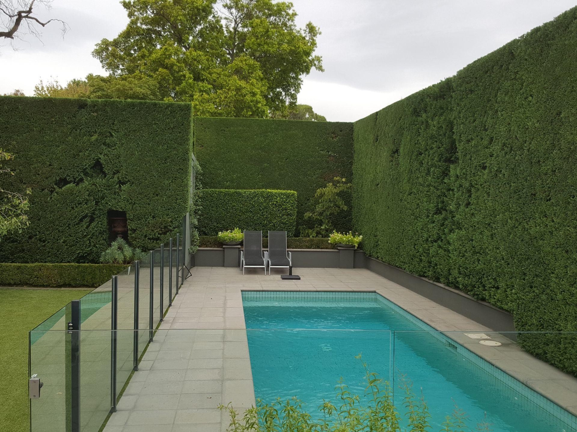20264 Hedge Trimming Business 661634 2