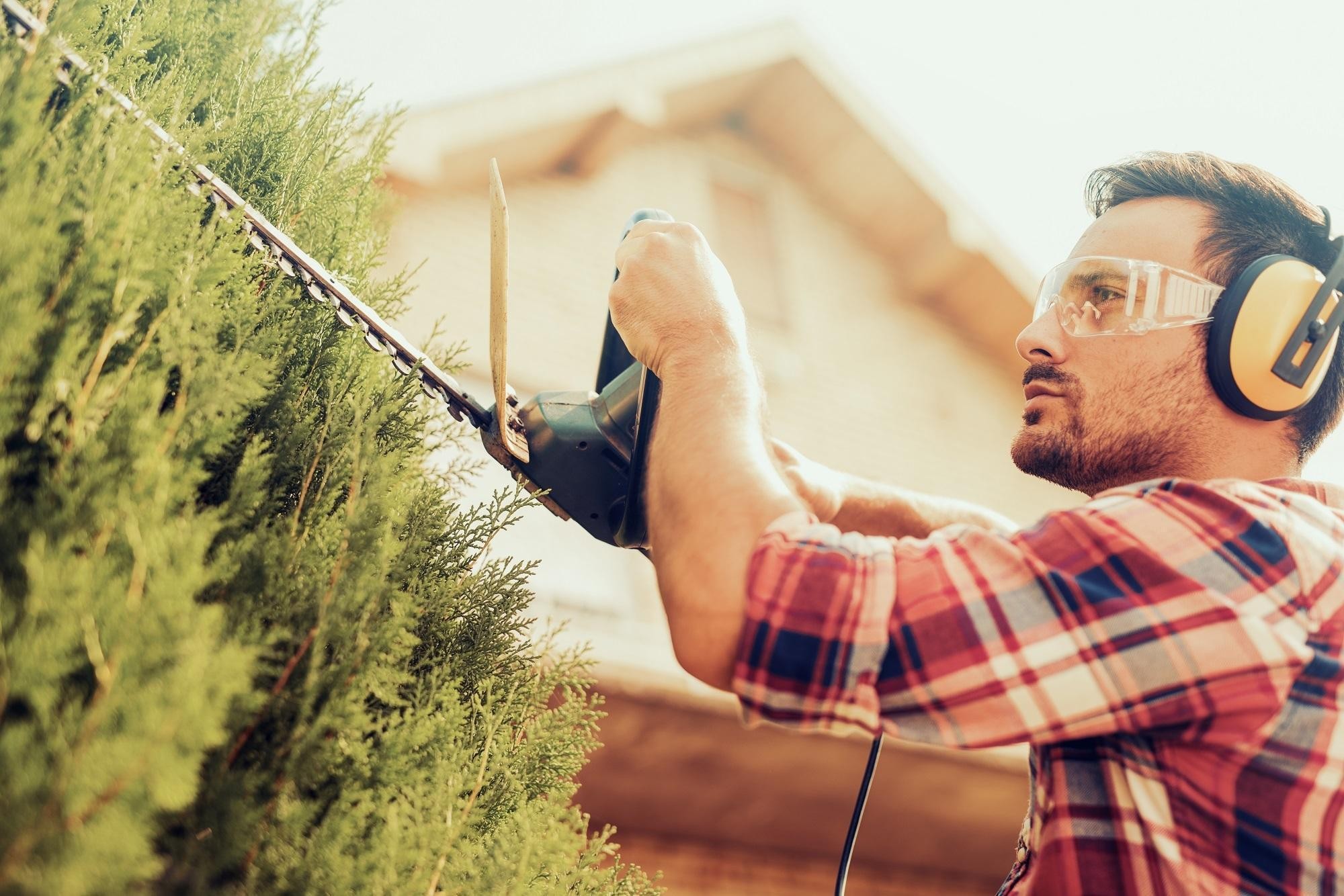 20264 Hedge Trimming Business 661634 1