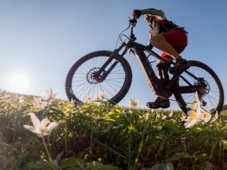 23201 Successful & Longstanding Electric Bicycle Retailer - Lucrative Market