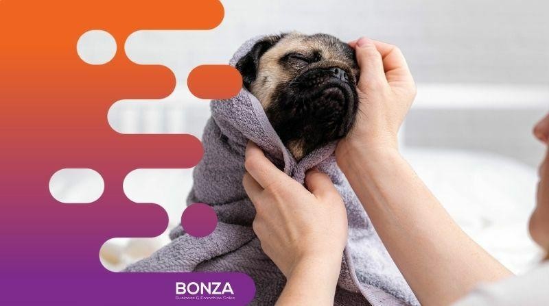 35061 Thriving Dog Grooming 661839 2