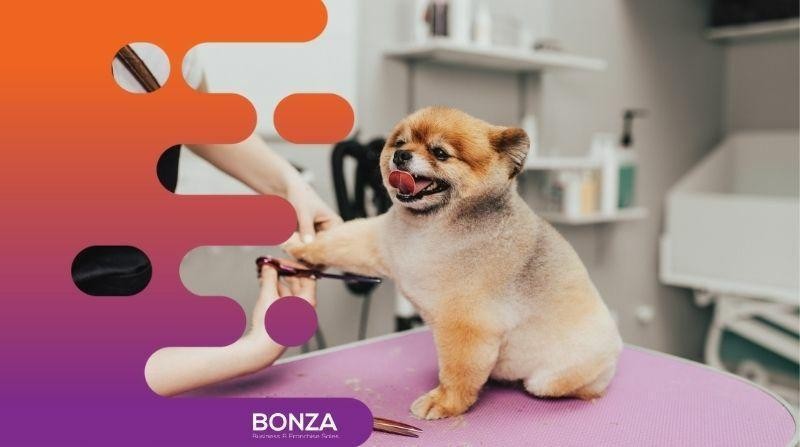 35061 Thriving Dog Grooming 661839 1