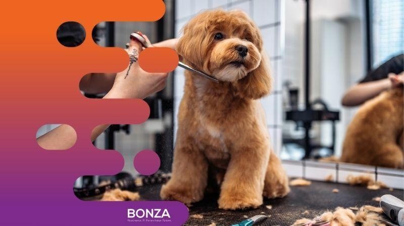 35061 Thriving Dog Grooming 661839 3