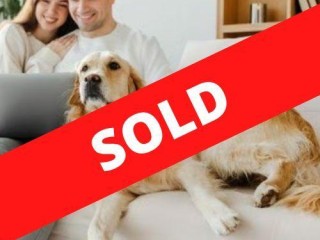 35477 Two Profitable Pet Product Retail Stores With Online Store