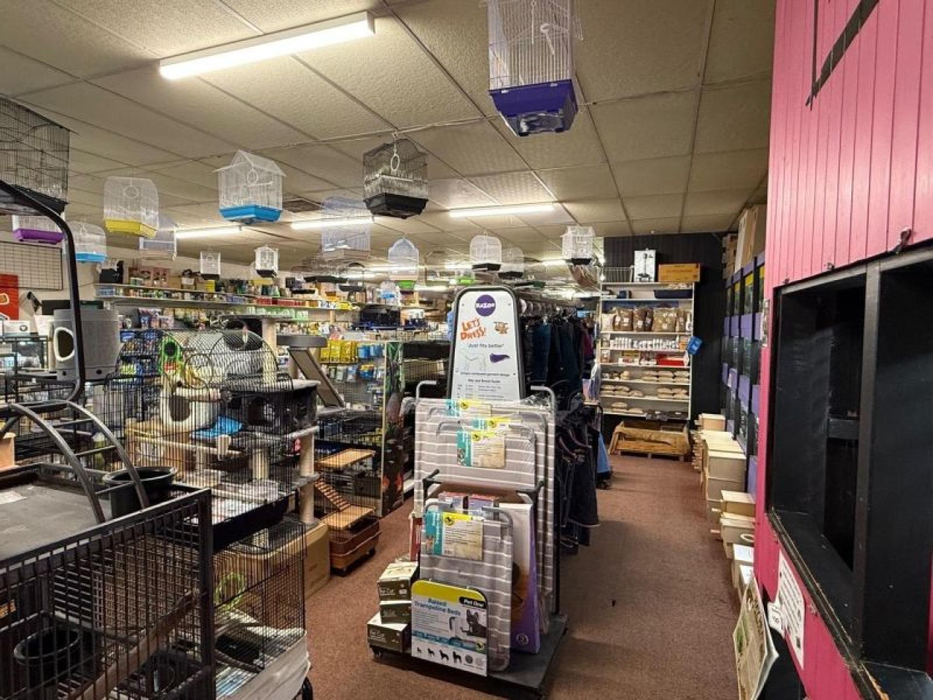 Retail Pet Supplies Business 662487 2