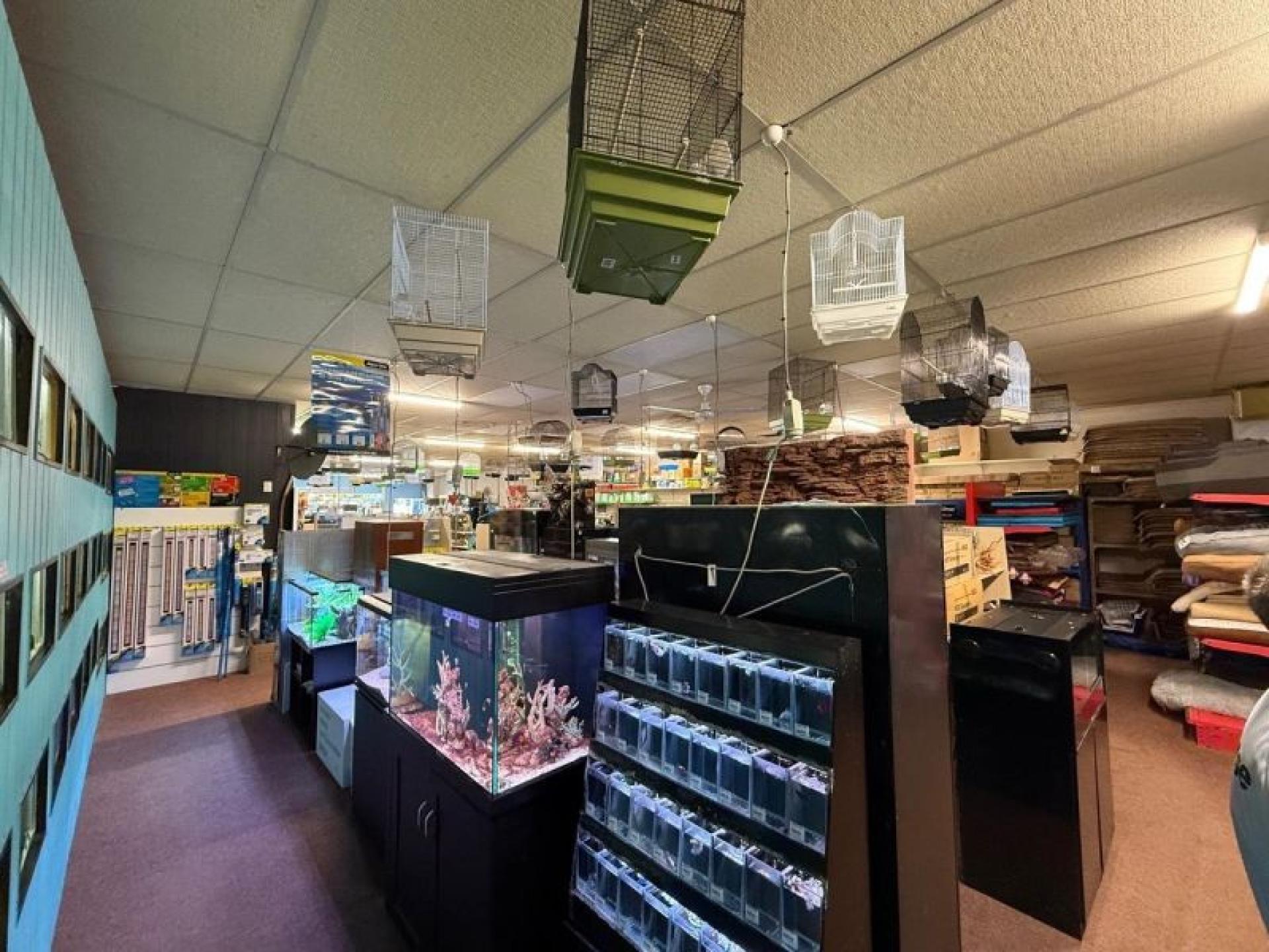 Retail Pet Supplies Business 662487 3