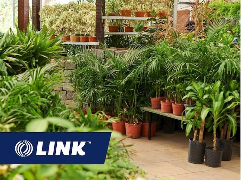 Specialist Pot And Plant 662511 2