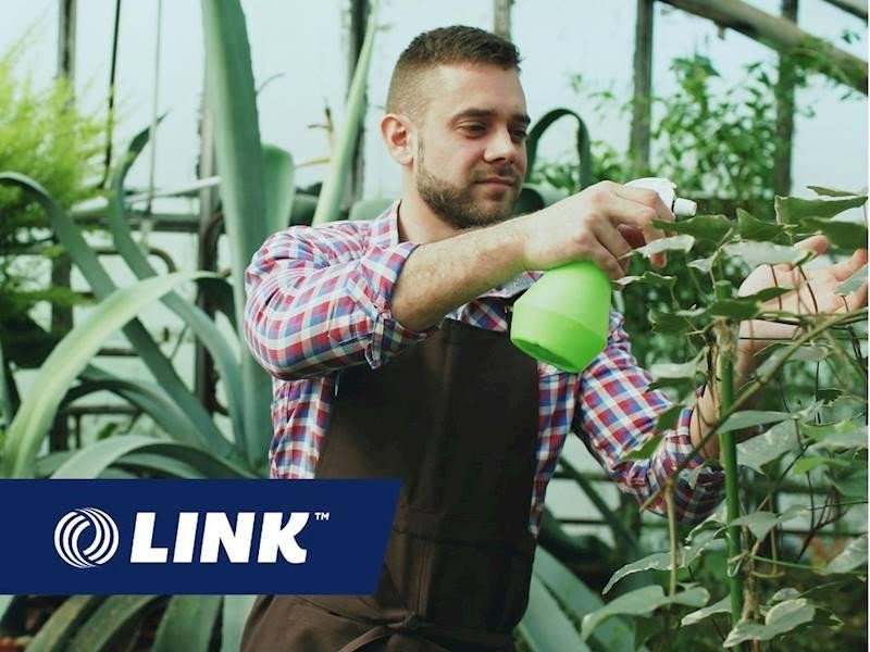 Specialist Pot And Plant 662511 1