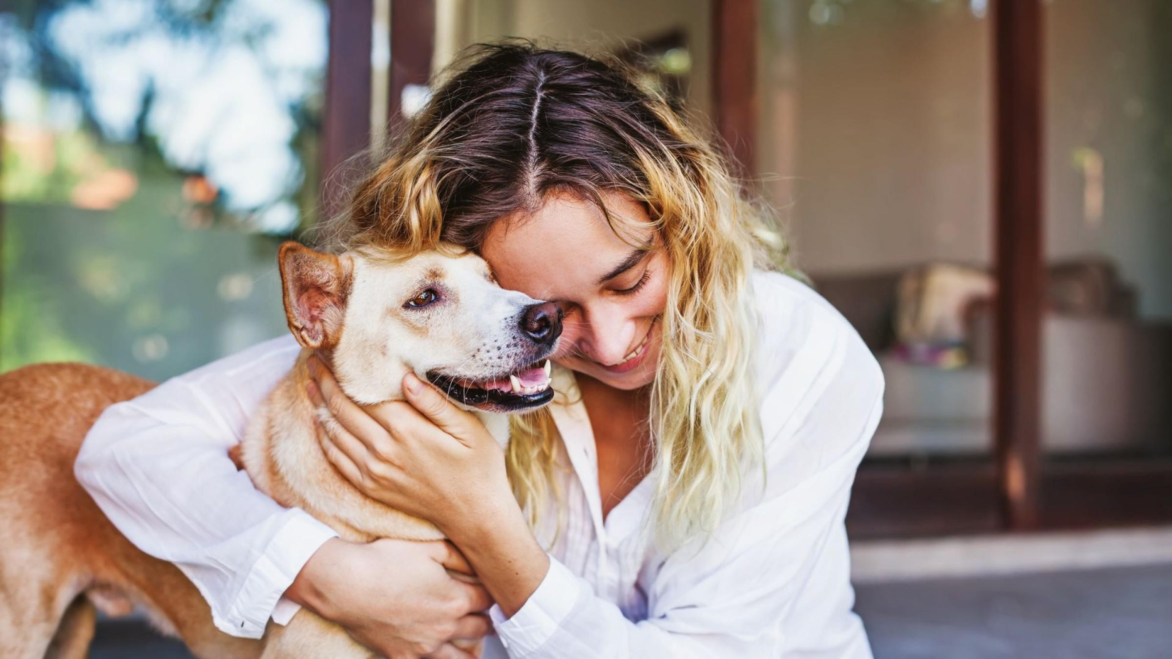 Online Pet Care & 662536 1