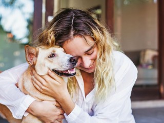 Online Pet Care & Food Supplies Business