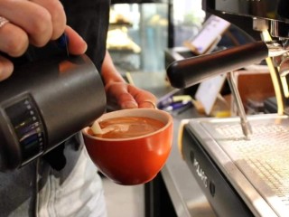 Urth Café & Co  CBD Café with Growth Potential
