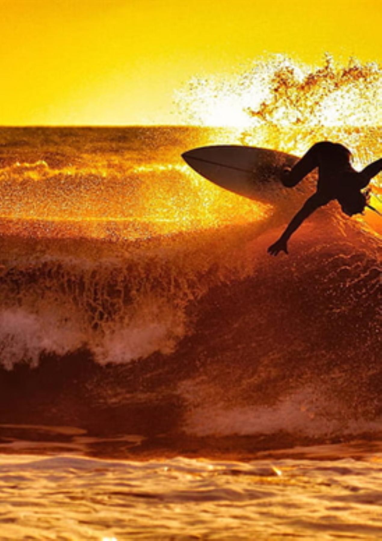 Iconic Byron Bay Surfboard 662648 2