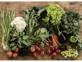 Fresh Produce Boxes Supplier – Yamba, NSW