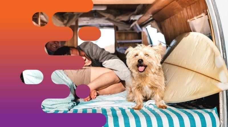 35537 Profitable Campervan & 662799 2