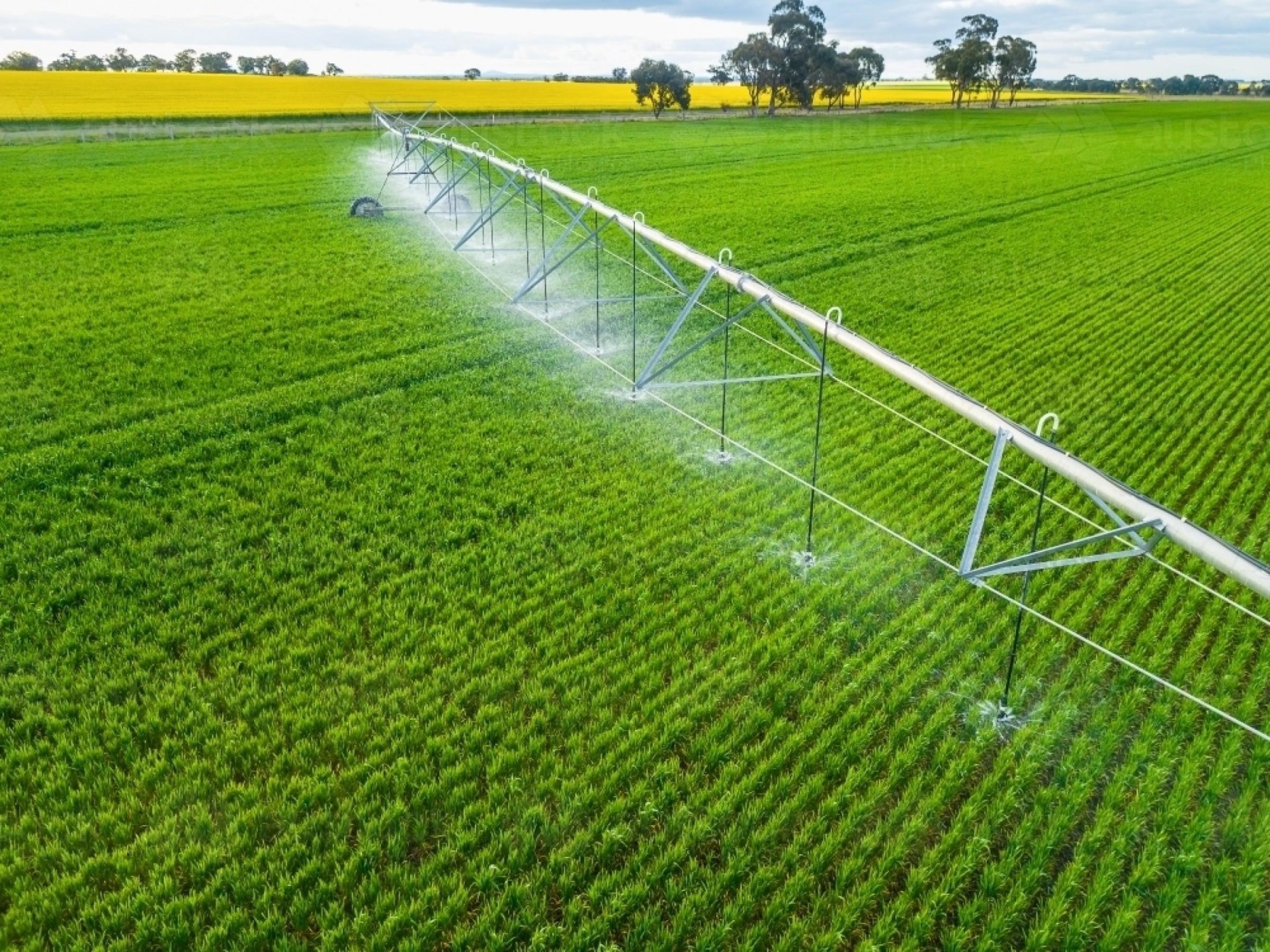 Thriving Essential Water & 662954 1