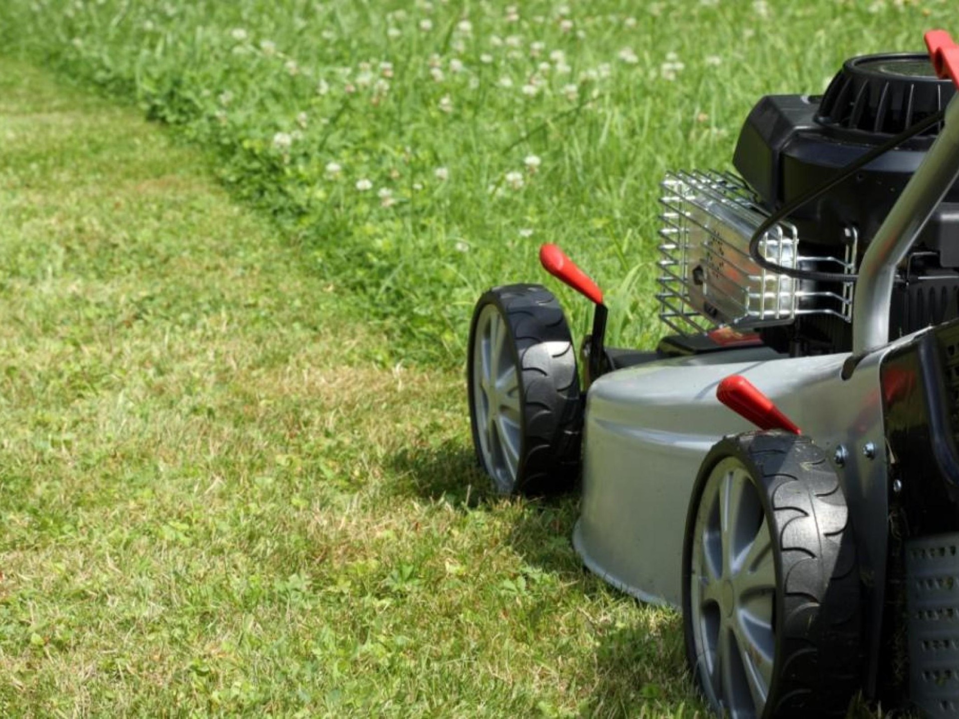 Property Cleaning And Garden 663618 1