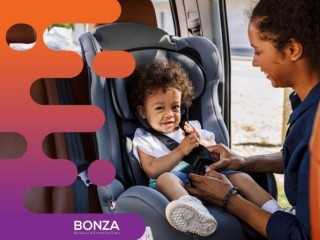 35570 Profitable Baby Gear Rental  Home-Based and Thriving 