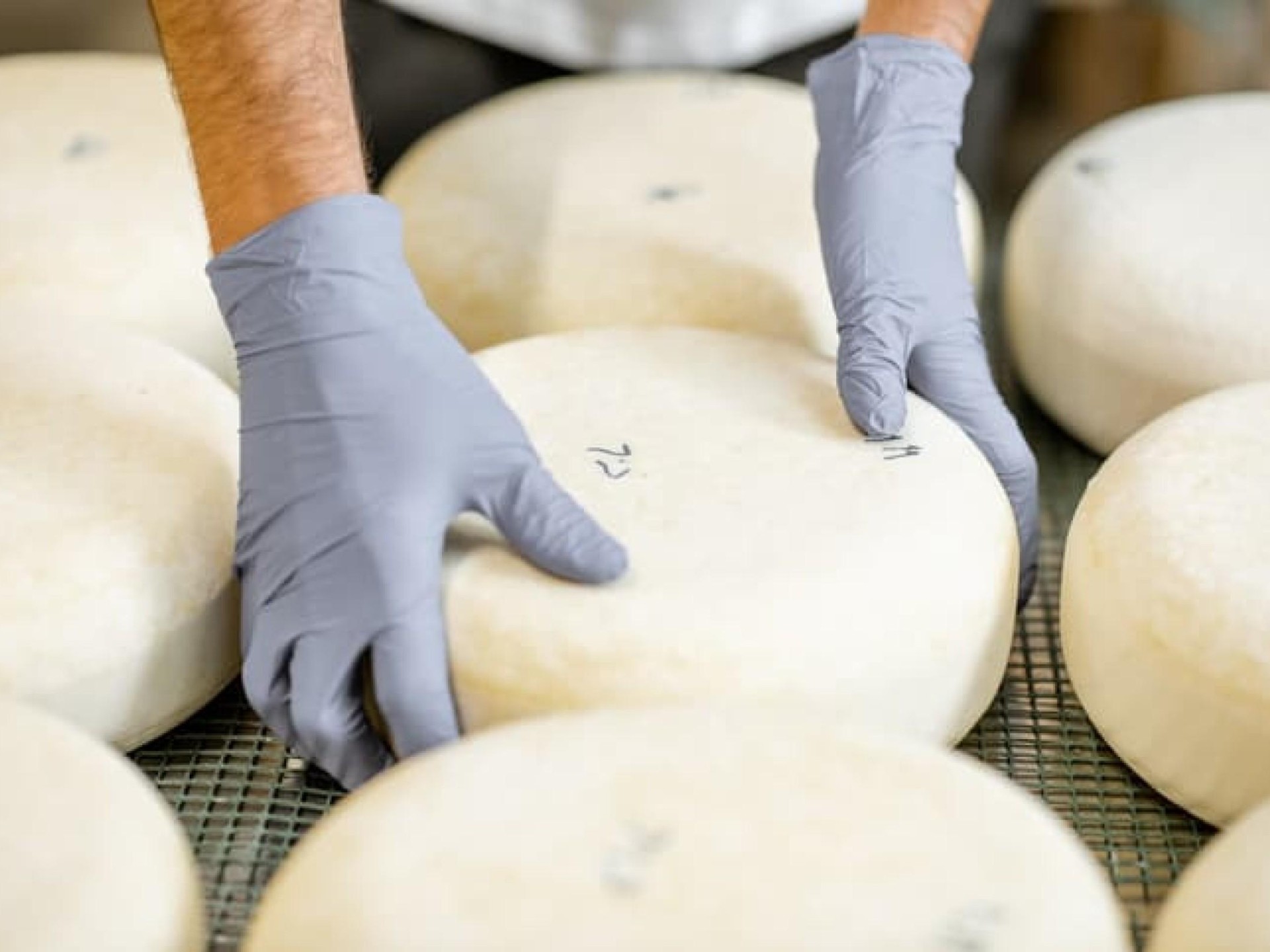 Cheese Manufacturing And Distribution 664184 1