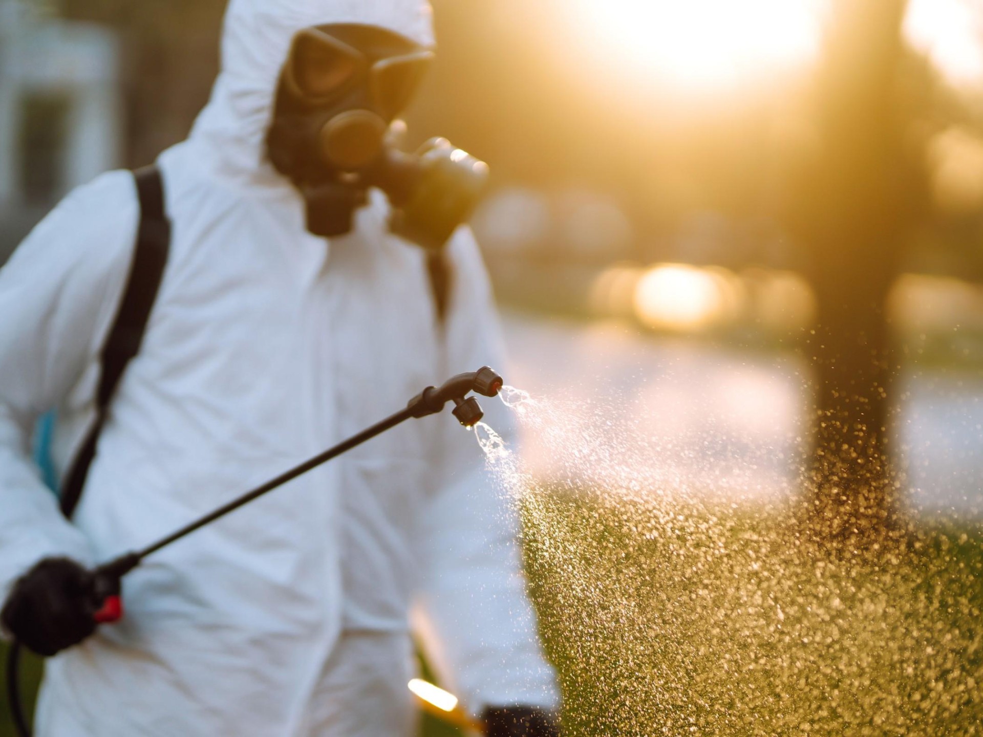 Bruin Pest Management 664214 1