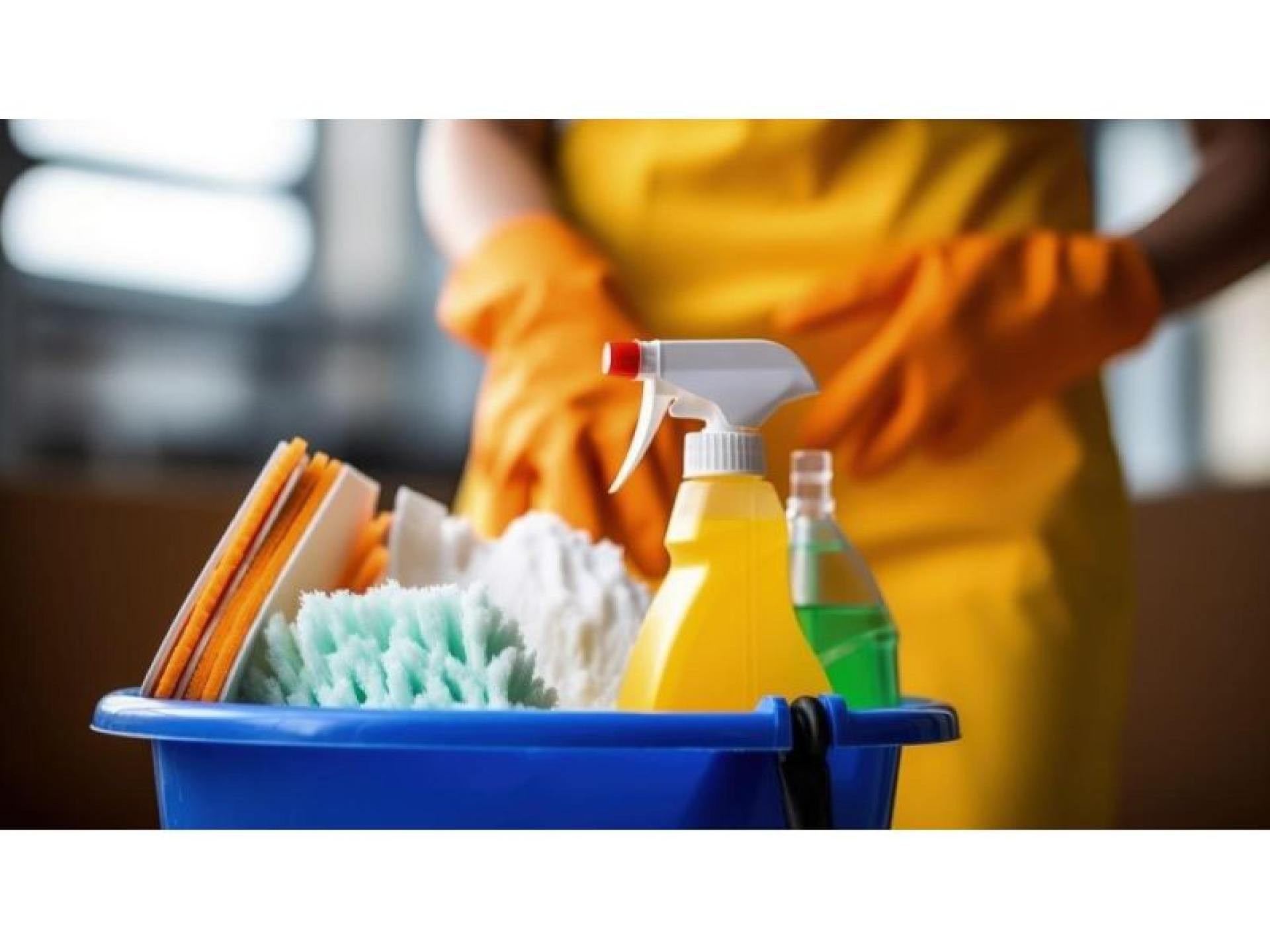 Cleaning Gardening And Support 664686 3