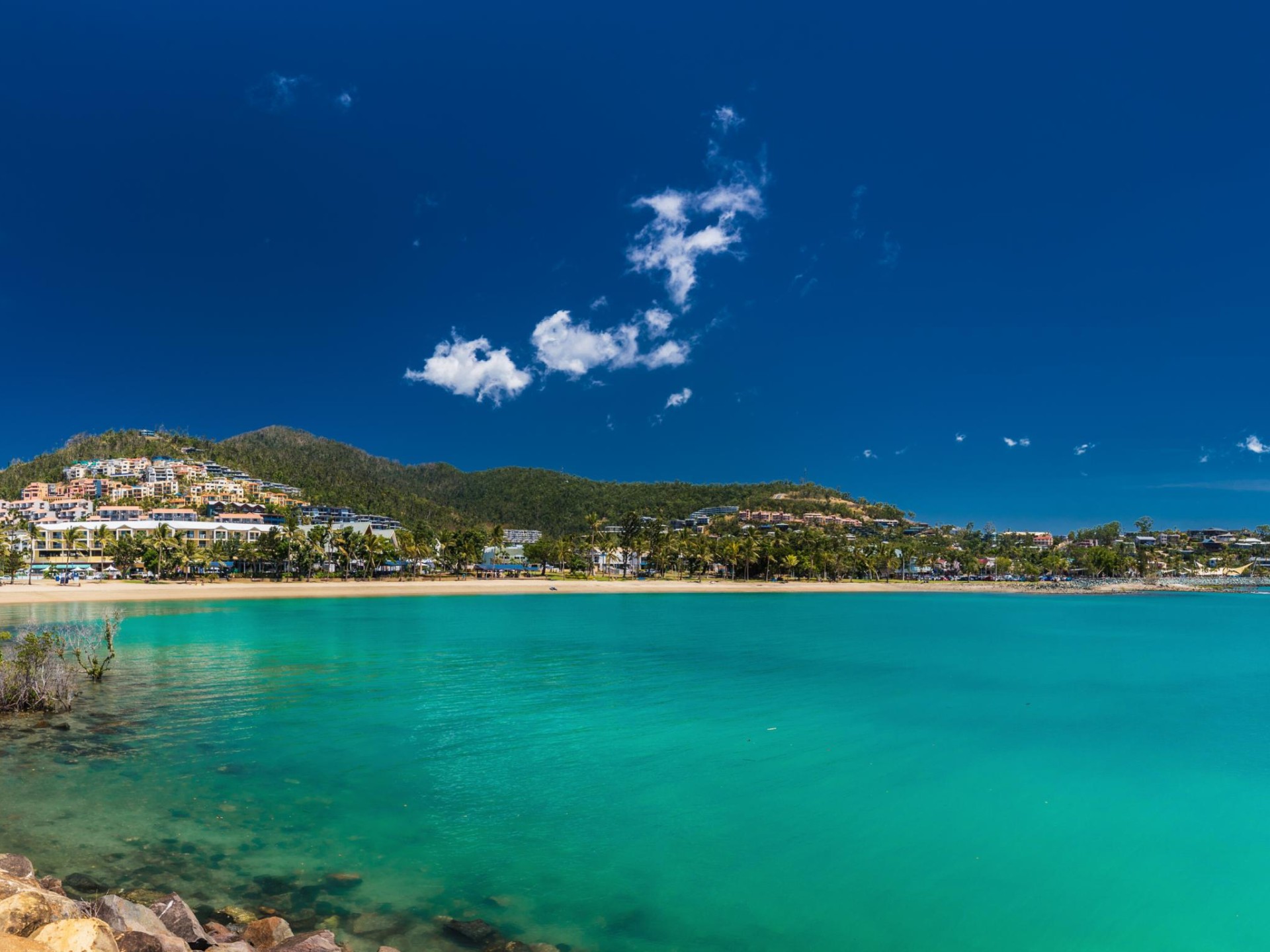 Resort Management Business - 664845 3