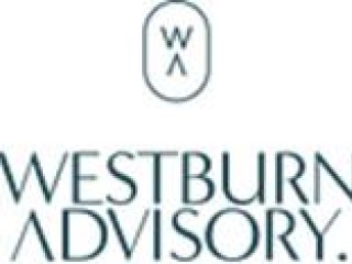 Going Concern - Sale of Demolition and Asbestos Removal Company