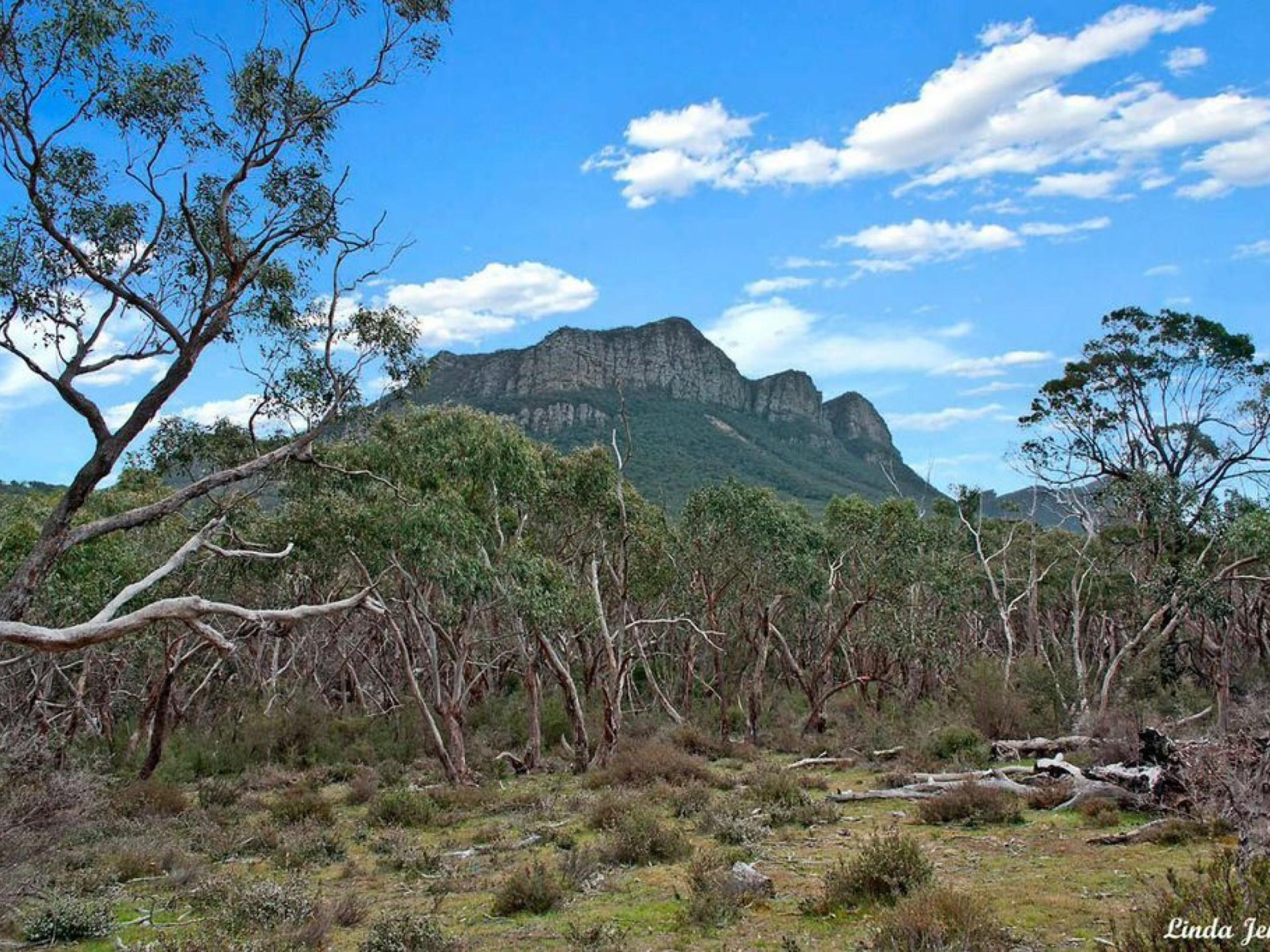 Group Accommodation Freehold And 665094 1