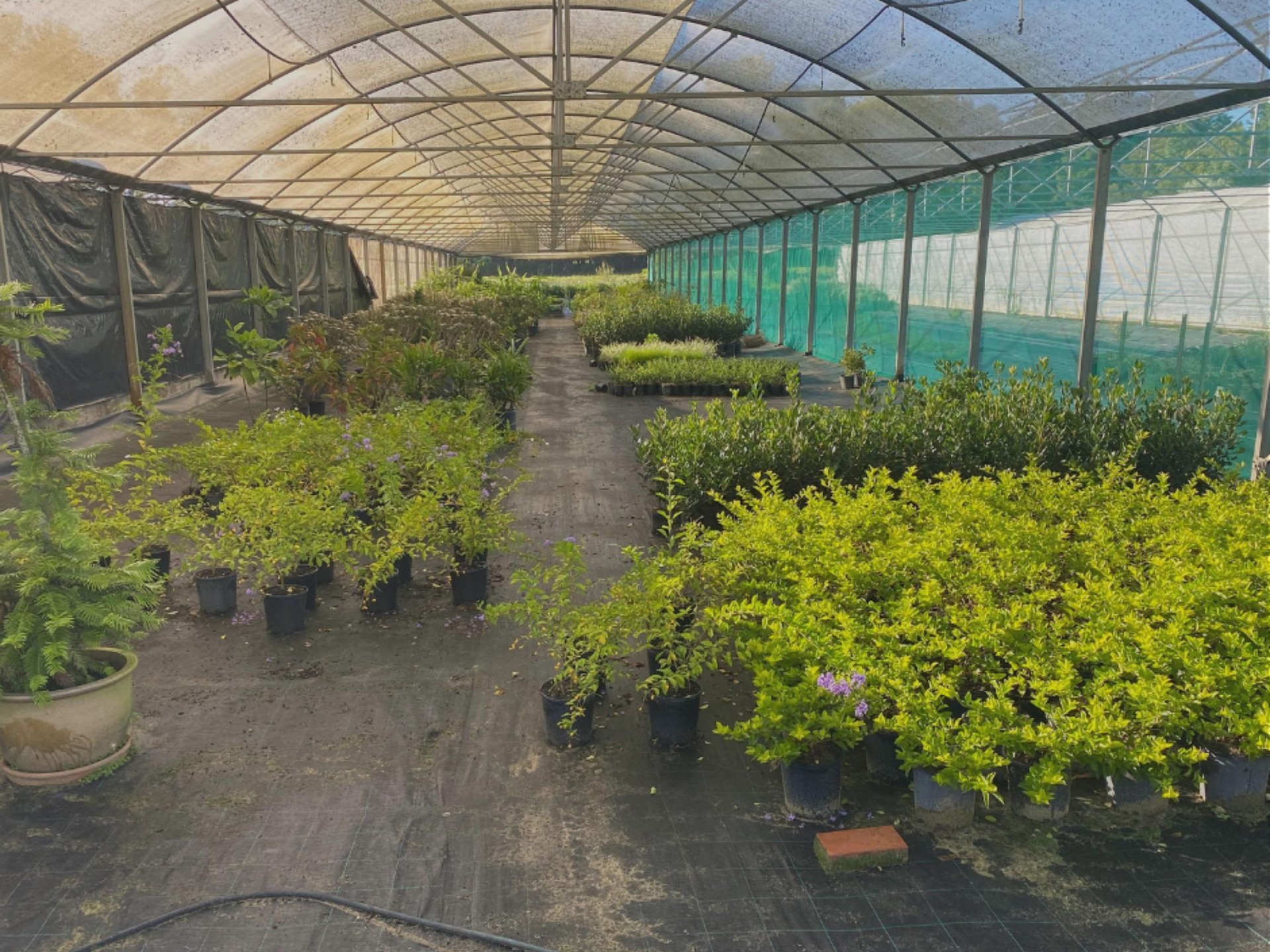 Whole Business At Equipment 665113 3