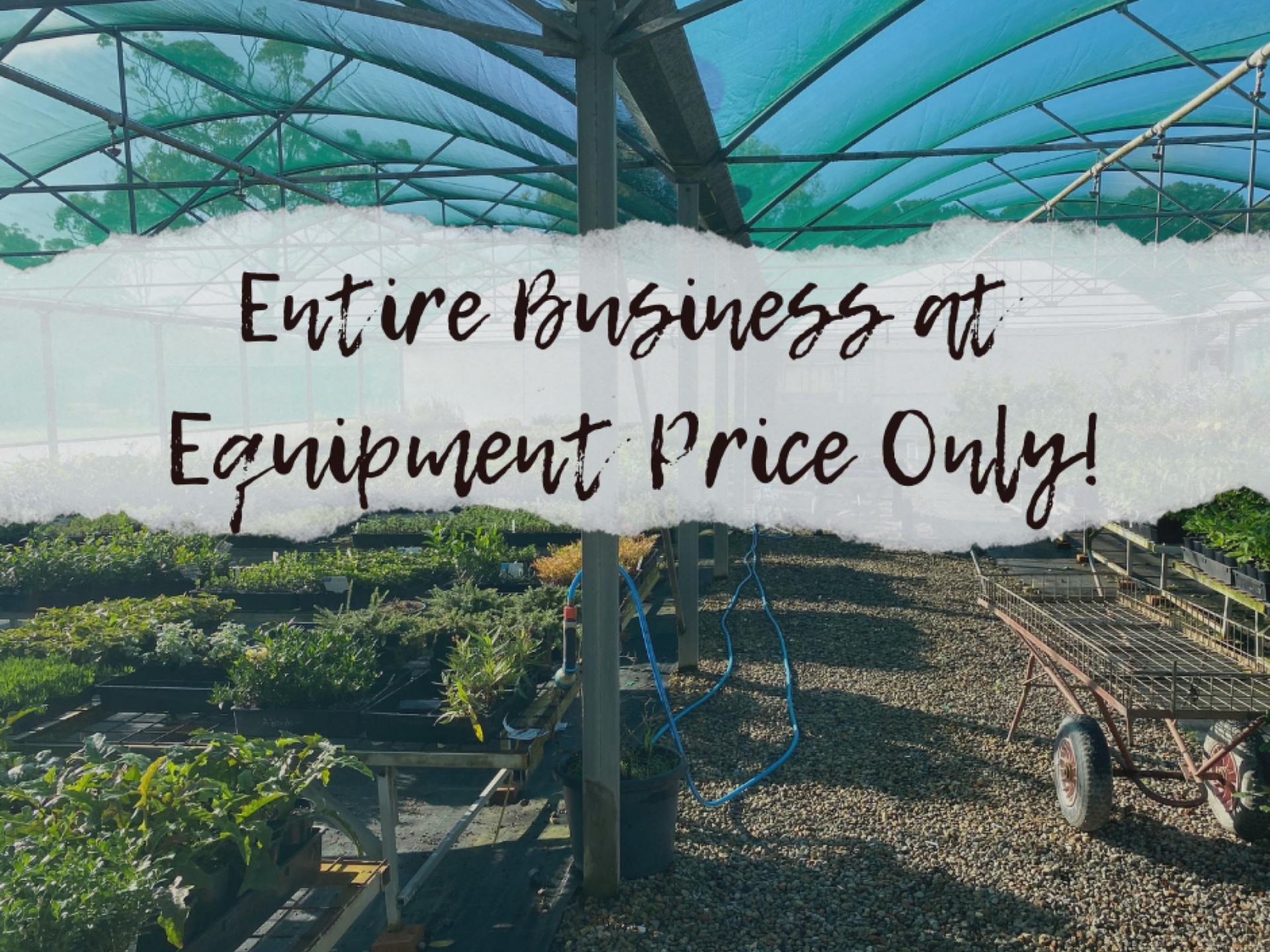 Whole Business At Equipment 665113 1