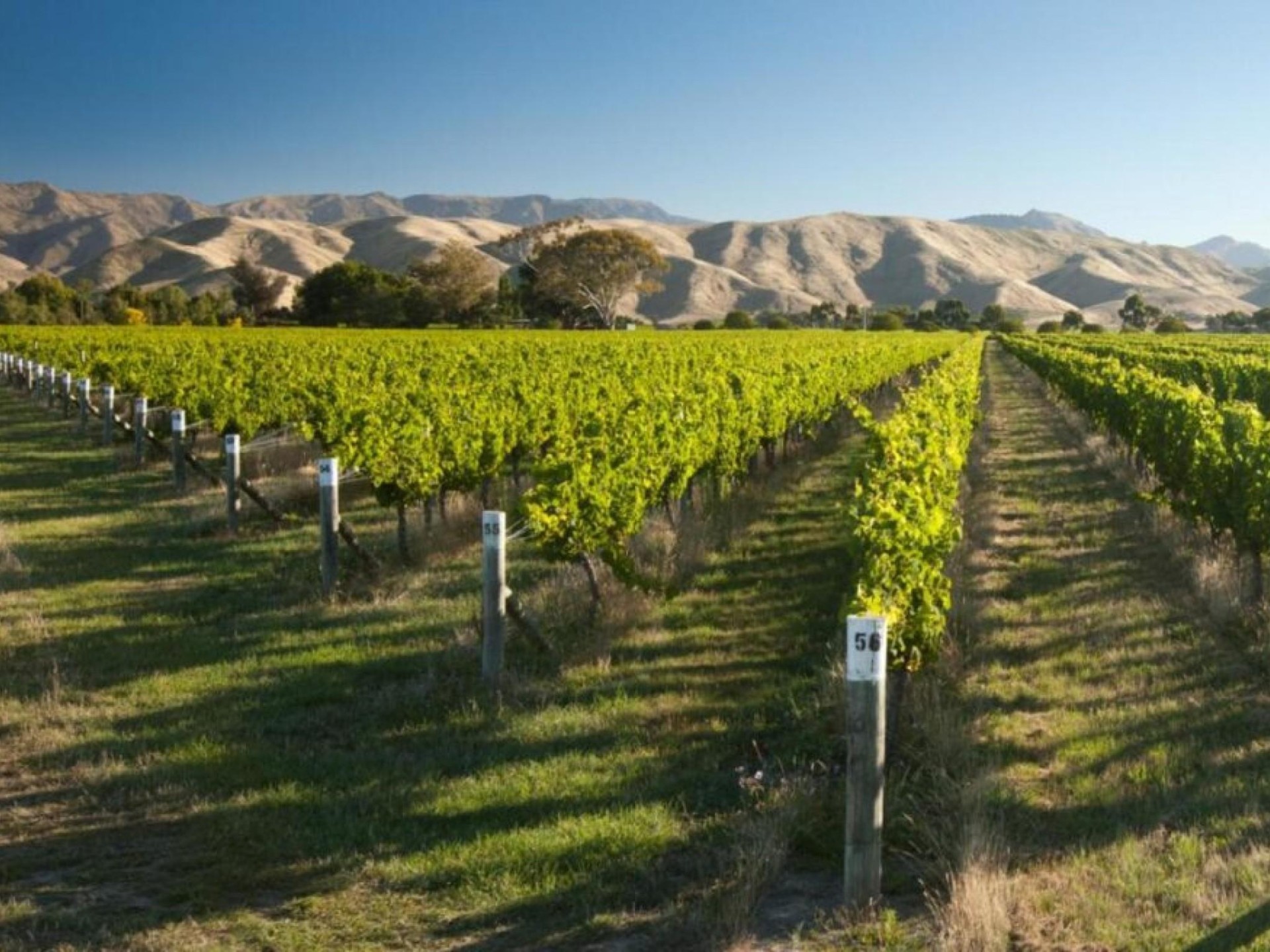 Nz's Wine Heritage: 1 665173 1