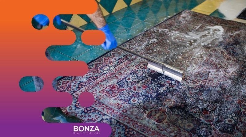 35641 Reputable Carpet Cleaning 665380 3