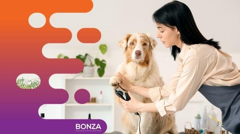 35643 Established Dog Grooming 665453 1
