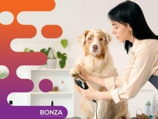 35643 Established Dog Grooming & Daycare Business - Growth Potential