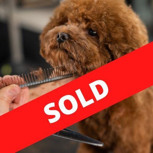 35658 Well-established Mobile Dog 665561 1