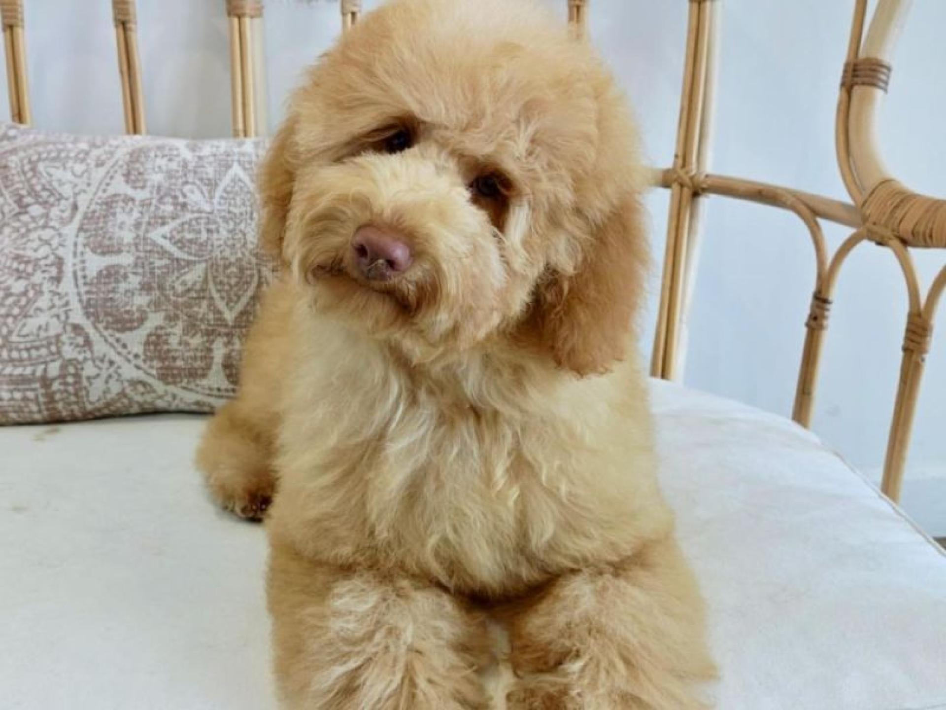 Under Offer - Award 666263 3