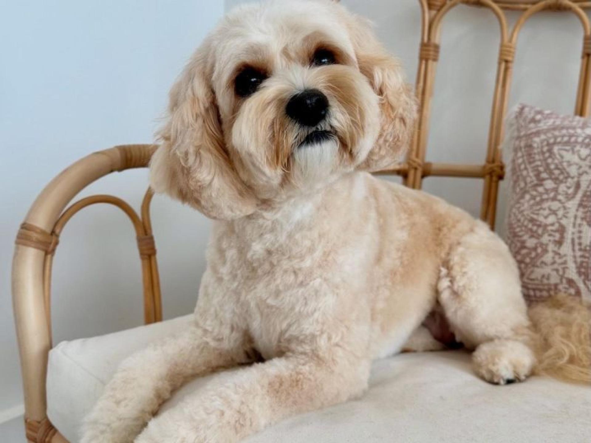 Under Offer - Award 666263 2