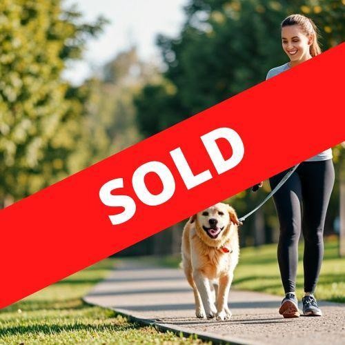 34391 Profitable Dog Walking 666359 1