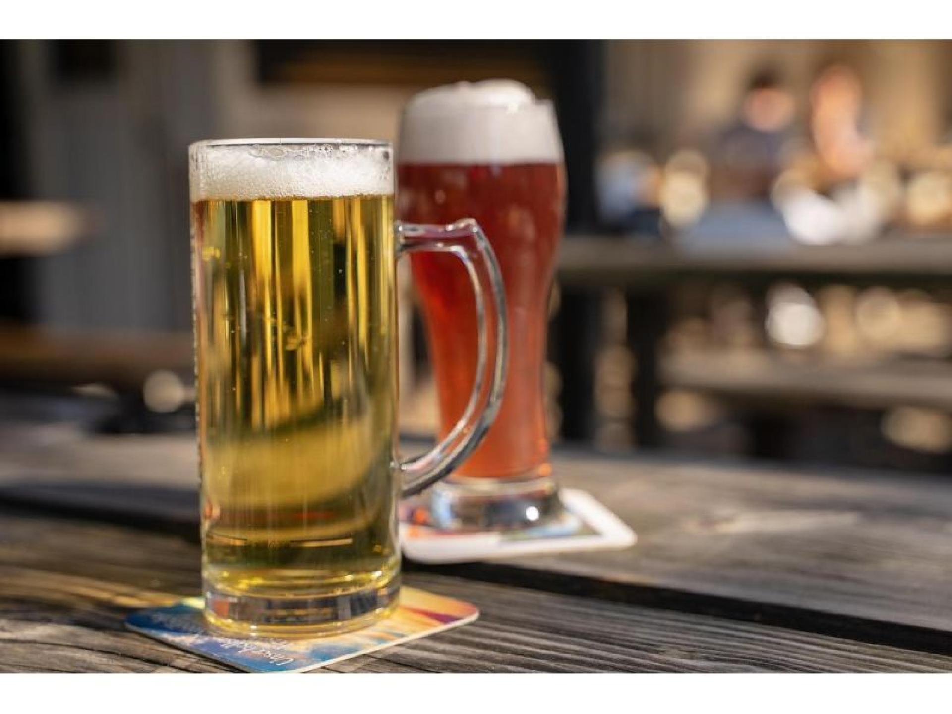 Established Bar & Brewery 666405 2